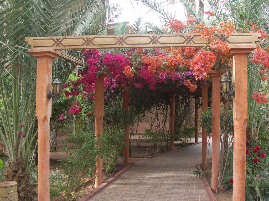 Fibule Du Draa Kasbah D'Hotes Zagora Dış mekan fotoğraf