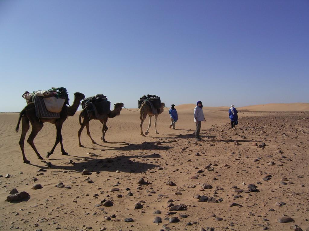 Fibule Du Draa Kasbah D'Hotes Zagora Dış mekan fotoğraf