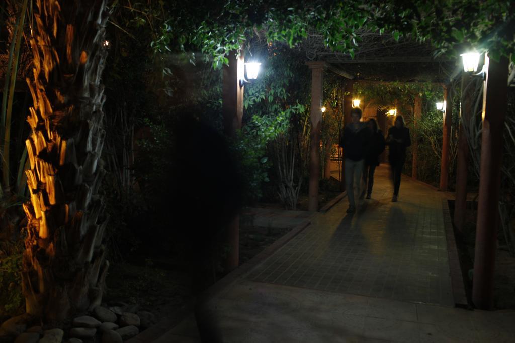 Fibule Du Draa Kasbah D'Hotes Zagora Dış mekan fotoğraf
