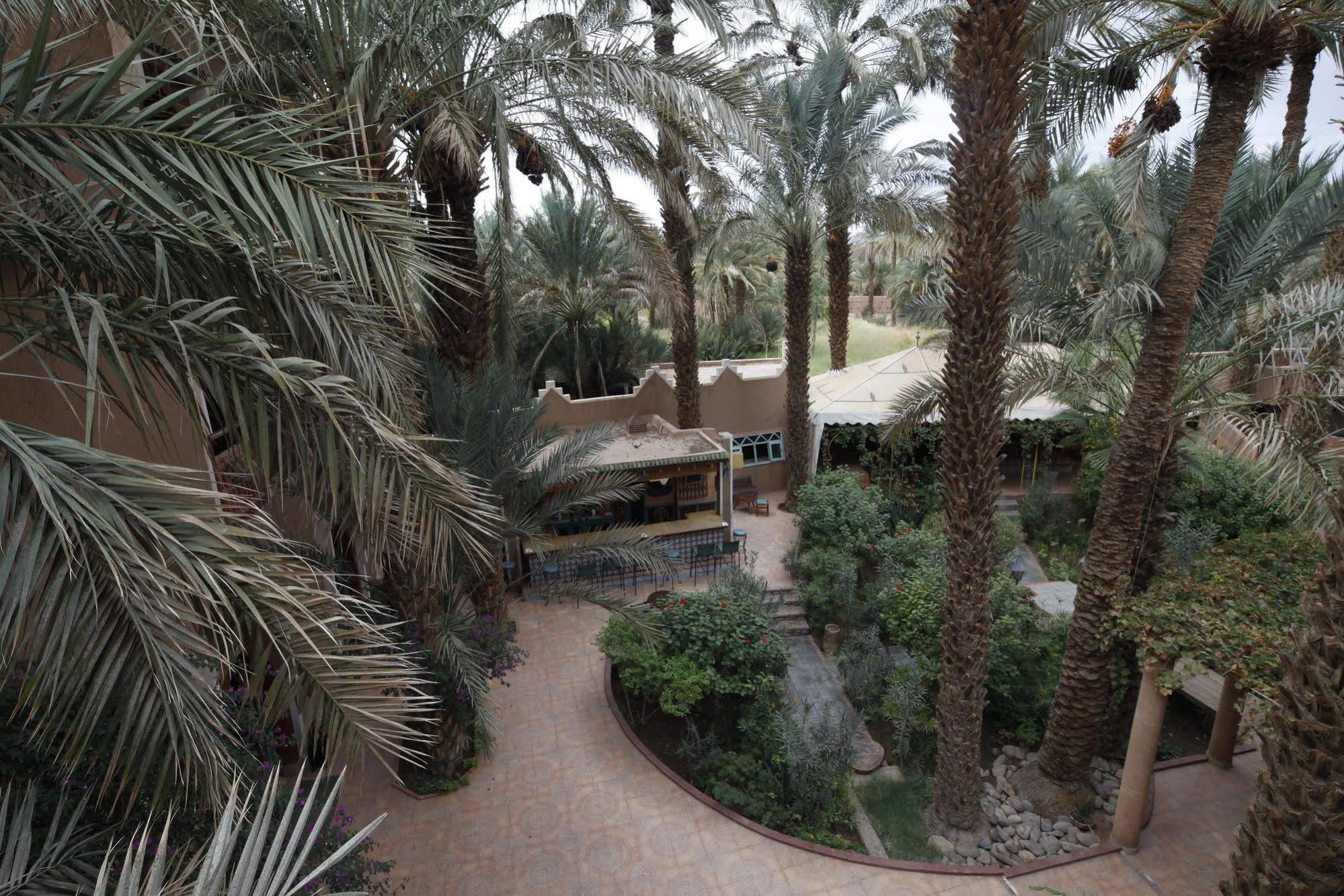 Fibule Du Draa Kasbah D'Hotes Zagora Dış mekan fotoğraf