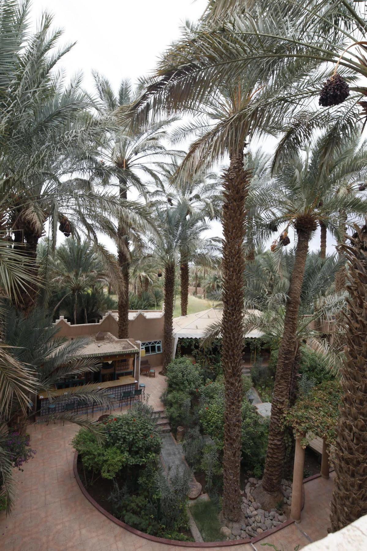 Fibule Du Draa Kasbah D'Hotes Zagora Dış mekan fotoğraf